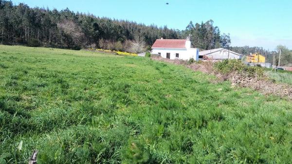 Terreno en Piñeiro
