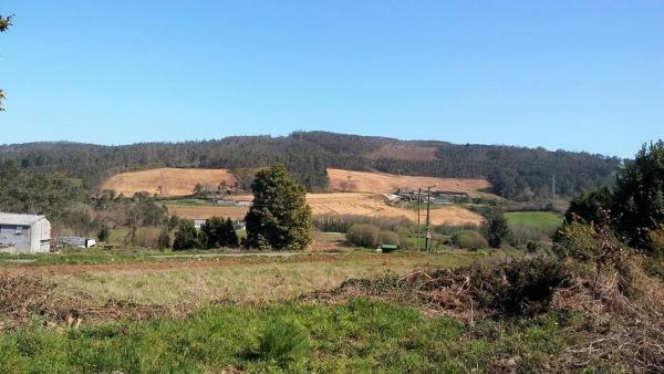 Terreno en Piñeiro