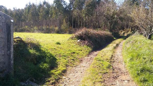 Terreno en Piñeiro
