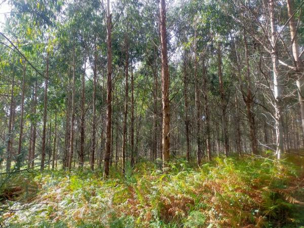 Terreno en lugar soutullo, 14