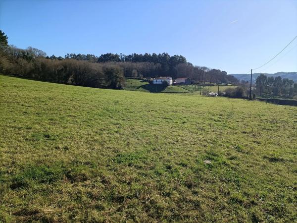 Terreno en Lugar Algaria, 13