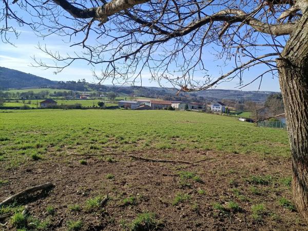 Terreno en Lugar Algaria, 13