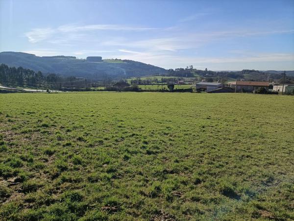 Terreno en Lugar Algaria, 13