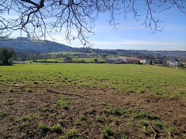 Terreno en Lugar Algaria, 13