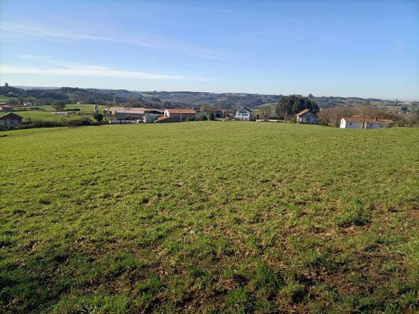 Terreno en Lugar Algaria, 13