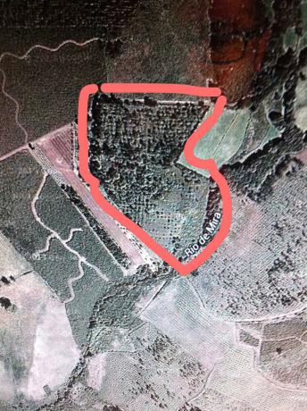 Terreno en camino Mira, 5