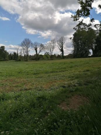 Terreno en calle gandara s/n