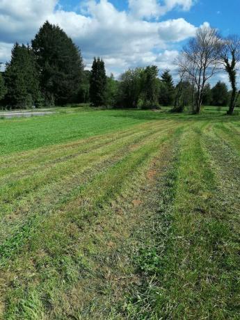 Terreno en calle gandara s/n