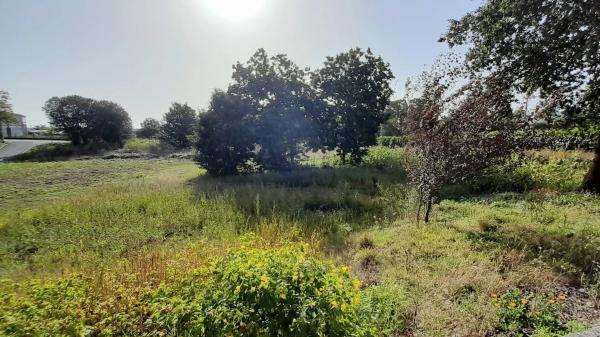 Terreno en calle As Mosqueiras, 10