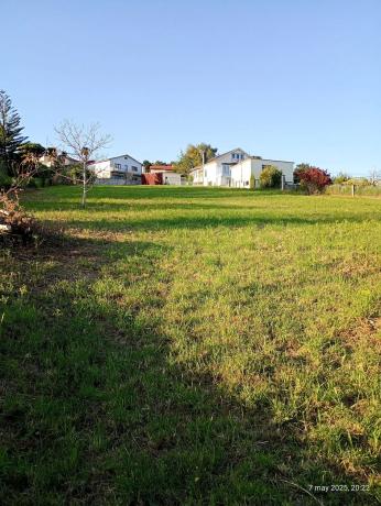 Terreno en carretera n Vi Torre, 15