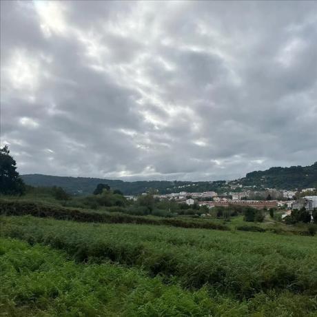 Terreno en calle o Remanso