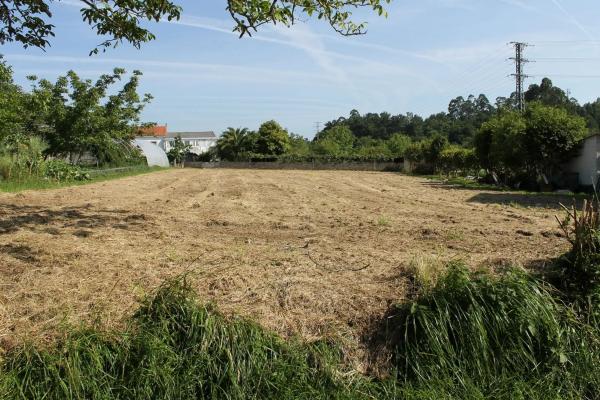Terreno en camino Pereiro, 11