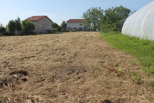 Terreno en camino Pereiro, 11
