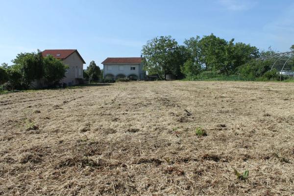 Terreno en camino Pereiro, 11