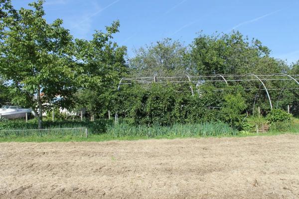 Terreno en camino Pereiro, 11