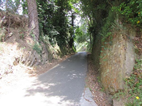 Terreno en camino Camiño Cadivas s/n