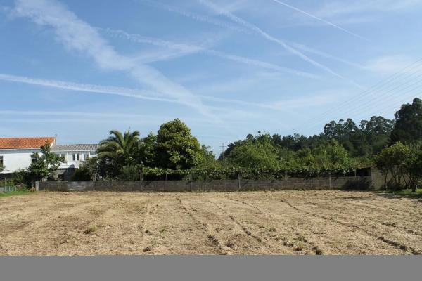 Terreno en camino Pereiro, 11