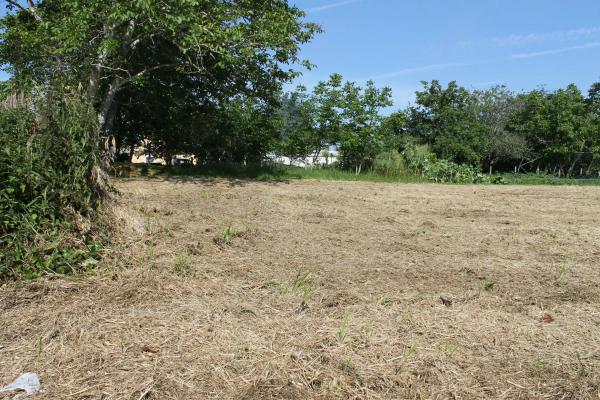 Terreno en camino Pereiro, 11