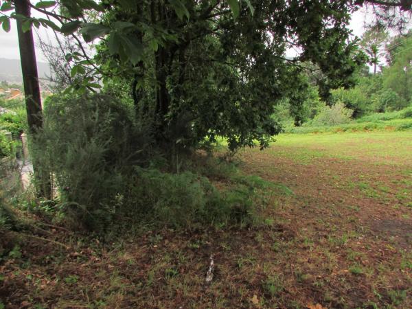Terreno en camino Camiño Cadivas s/n