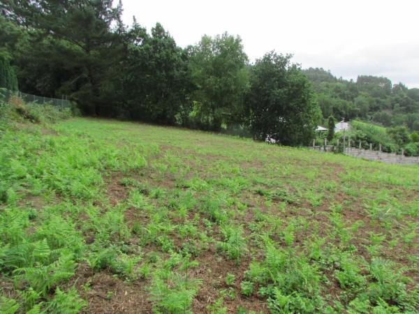 Terreno en camino Camiño Cadivas s/n