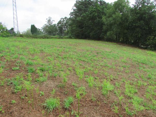 Terreno en camino Camiño Cadivas s/n