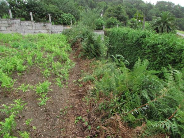 Terreno en camino Camiño Cadivas s/n
