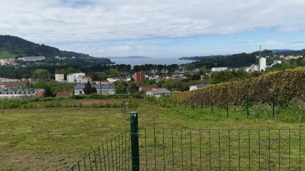 Terreno en camino Tras da Vila, 14