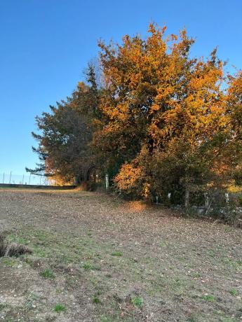 Terreno en camino Cadivas, 13