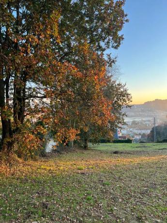 Terreno en camino Cadivas, 13