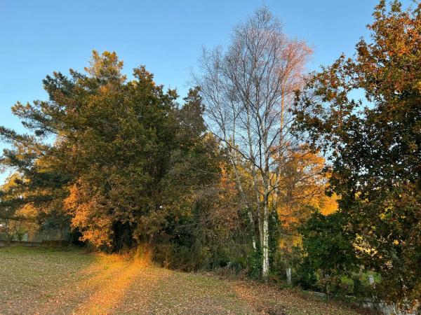 Terreno en camino Cadivas, 13