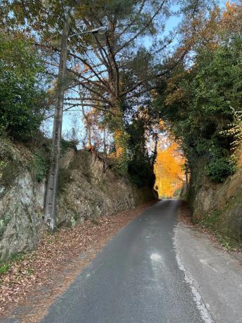 Terreno en camino Cadivas, 13