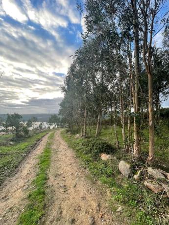 Terreno en Cobadiña, 3