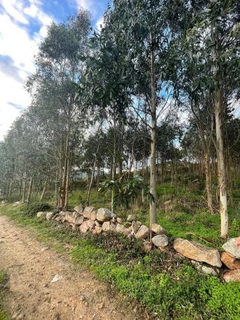 Terreno en Cobadiña, 3