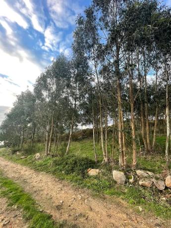 Terreno en Cobadiña, 3