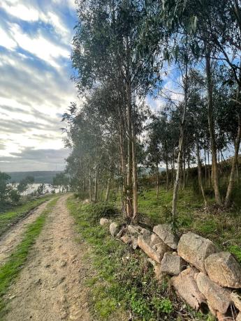 Terreno en Cobadiña, 3