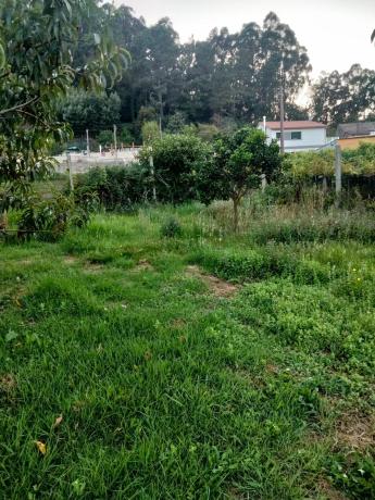 Terreno en calle Pérez Lugín, 44