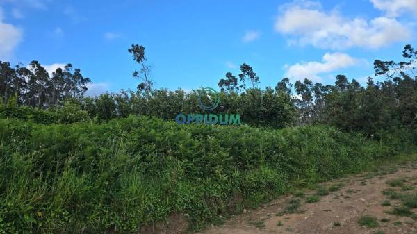 Terreno en Figueiroa s/n