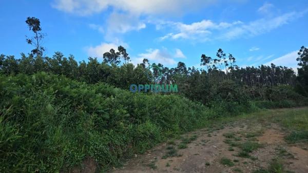 Terreno en Figueiroa s/n