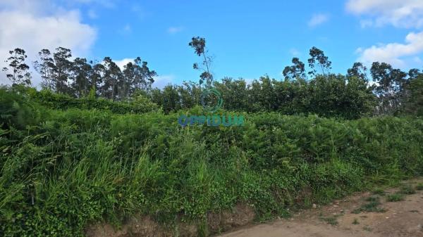 Terreno en Figueiroa s/n