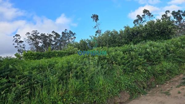 Terreno en Figueiroa s/n