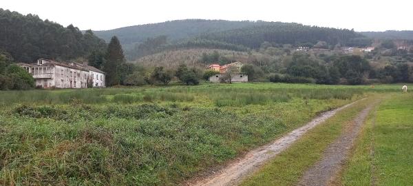 Terreno en calle Coto de Barreiros
