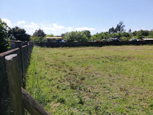 Terreno en a Rega s/n