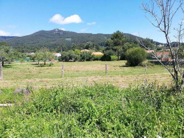Terreno en a Rega s/n