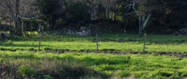 Terreno en Aldea Frean, km 952