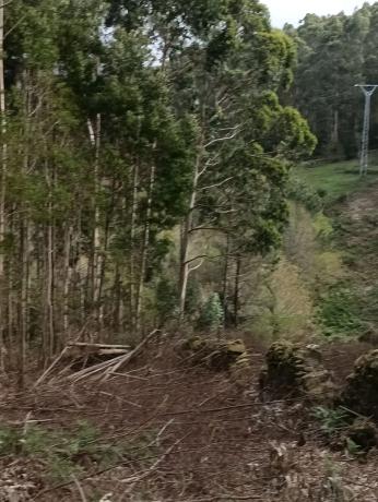 Terreno en calle Lira, 14