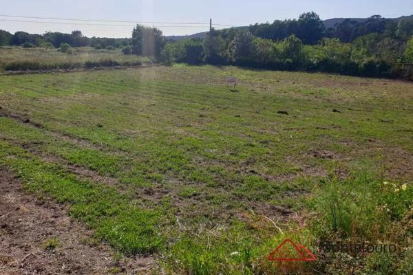 Terreno en Lugar Piñeiros, 7