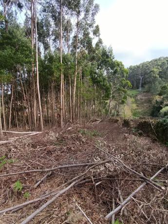 Terreno en calle Lira, 14