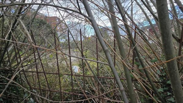 Terreno en calle Río Ferrol, 29