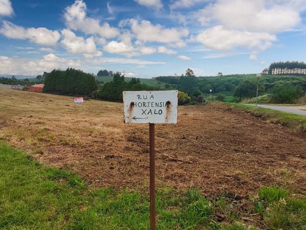 Terreno en hortensia, 17