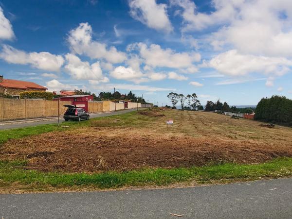 Terreno en hortensia, 17